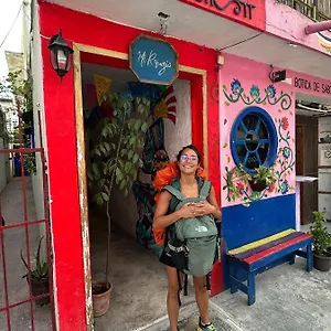 Mi Refugio Dive House Guest house Cozumel